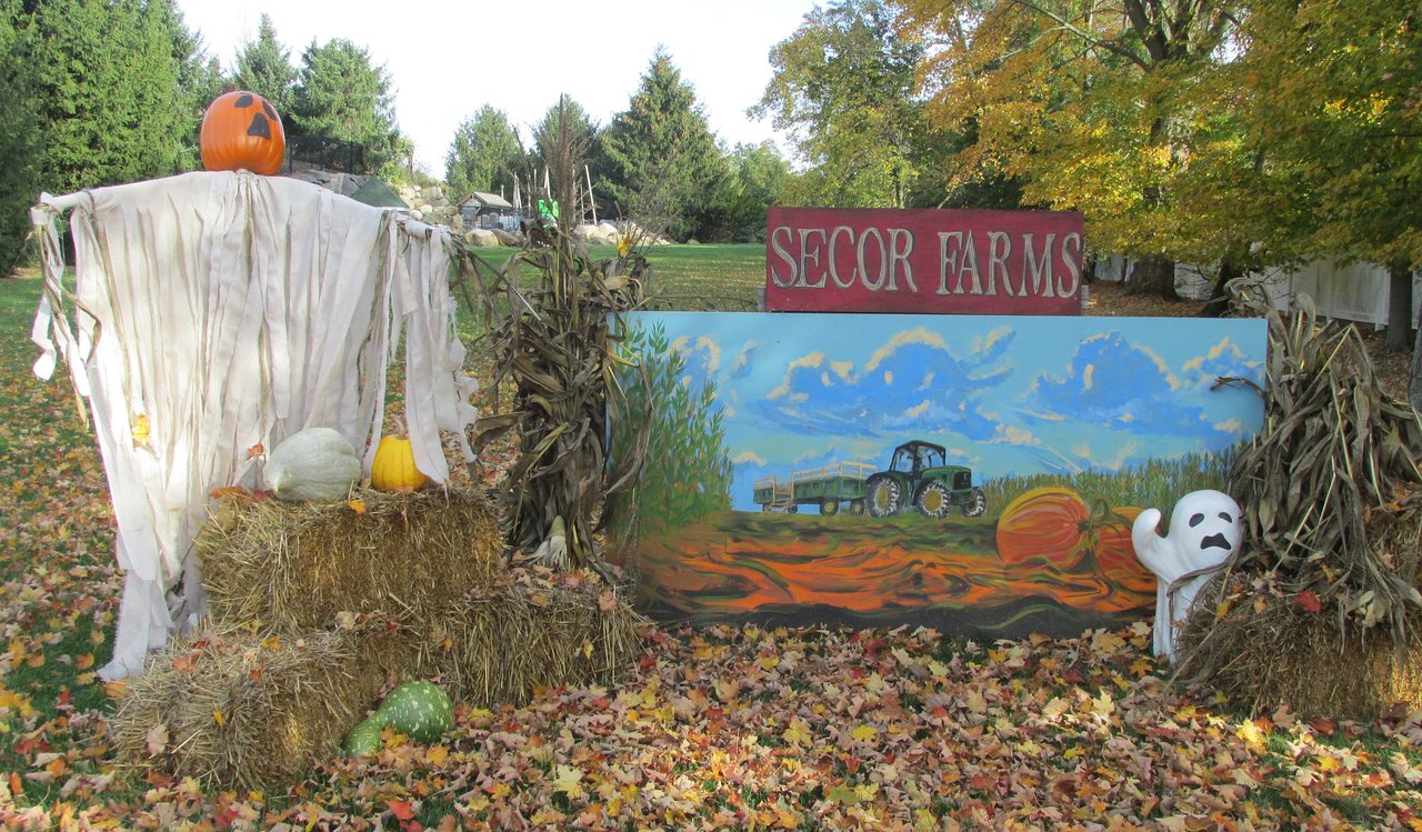 secor farms best pumpkin patch