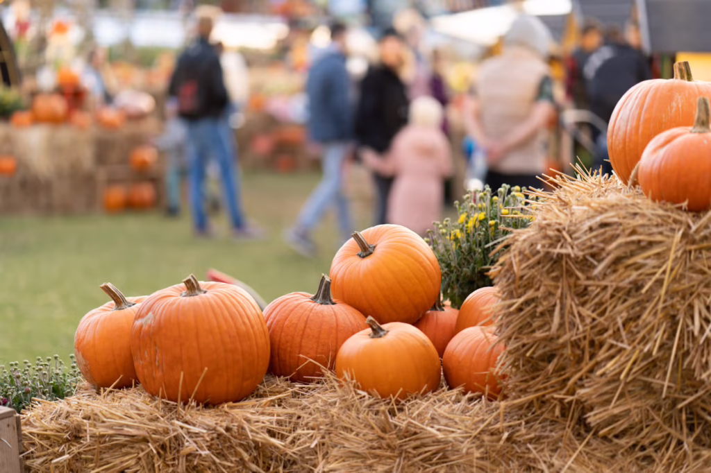 fall festivals Bergen County NJ
